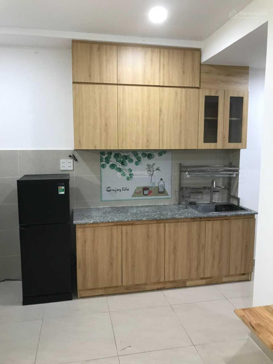 Furnished Mini Apartment in Go Vap District