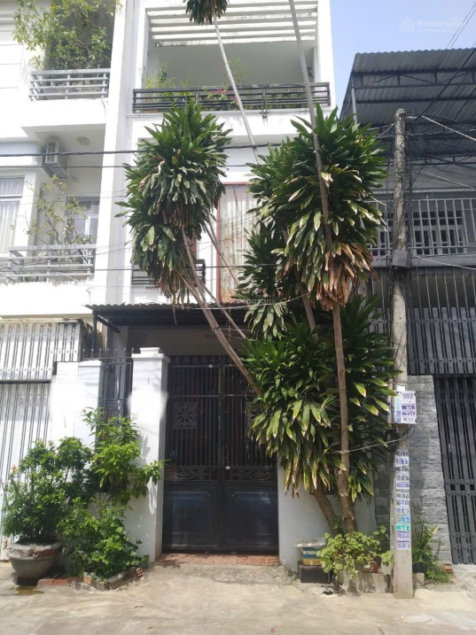 Spacious 3-Bedroom House with Rooftop Garden