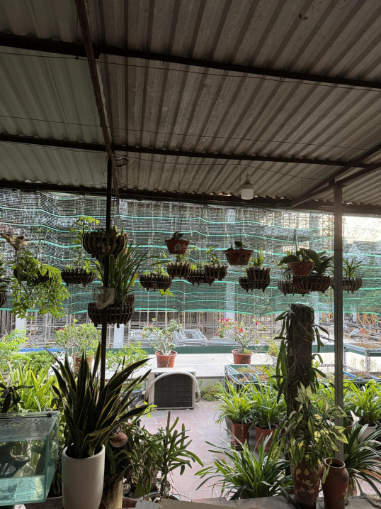 Spacious 3-Bedroom Apartment with Garden View