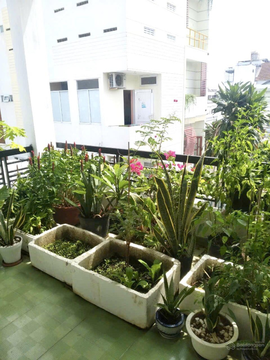 Spacious 3-Bedroom House with Rooftop Garden