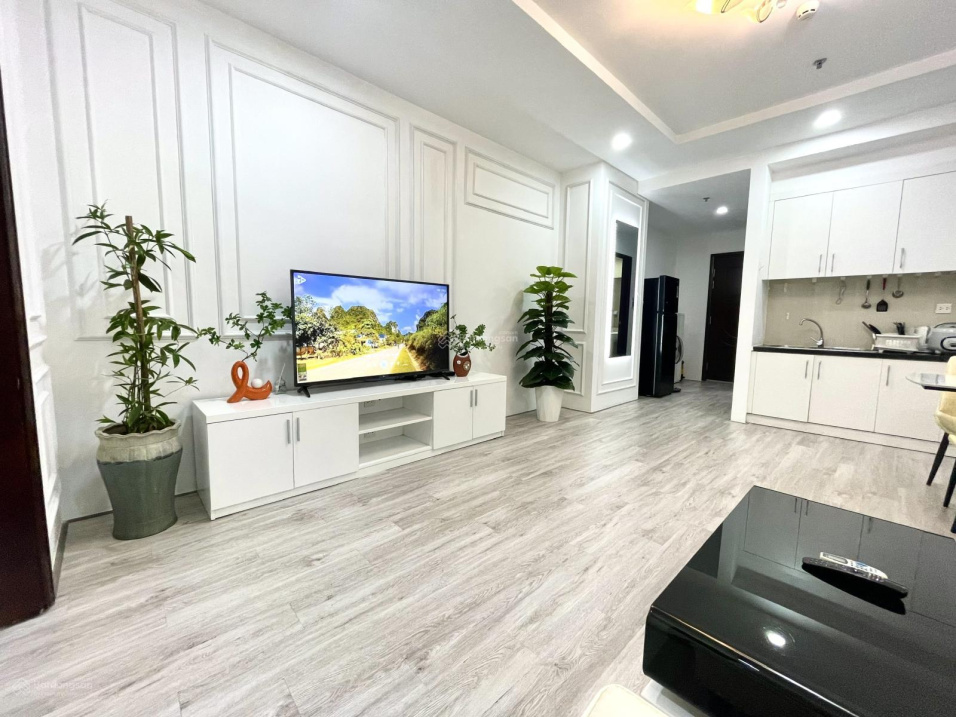 Modern Vinhomes Times City Park Hill Apartment