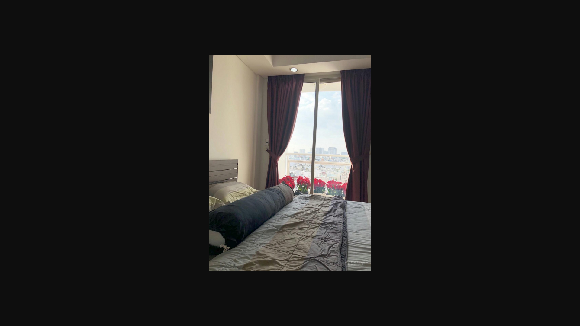 Modern 2-3 Bedroom Apartment in Botanic Towers