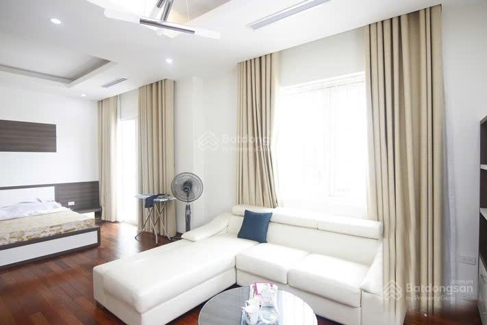 Fully Furnished Vinhomes Riverside Villa in Cherry Blossom Area