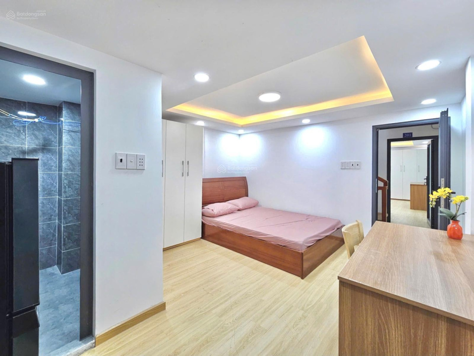 Luxury furnished apartment on Nguyen Trai Street, District 1