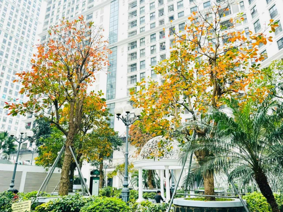 Luxury Apartment with Scenic Garden and Fountains