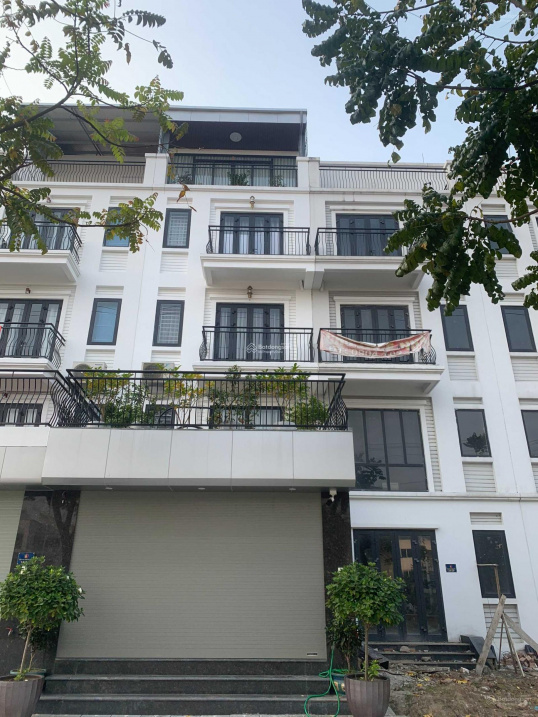 Modern Townhouse with Multiple Size Options