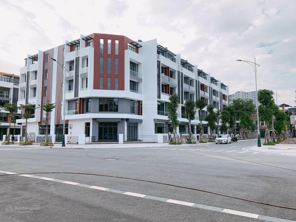 Modern Apartments for Rent