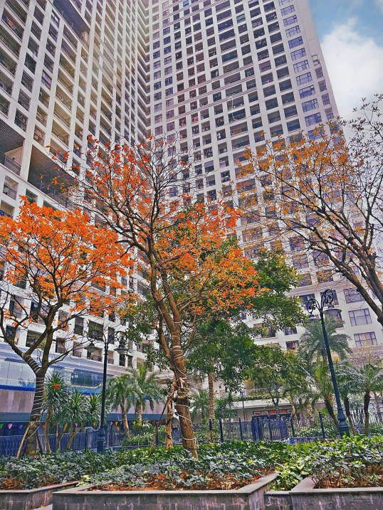 Luxury High-Rise Apartments with Garden Views