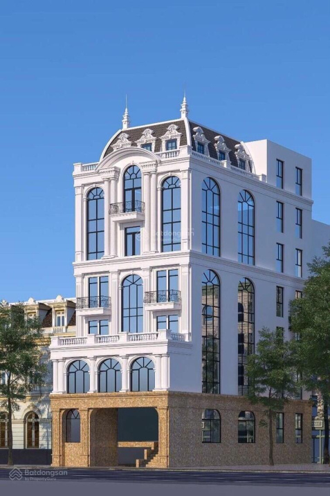 Luxury 6.5-Story House with Pool and Elevator