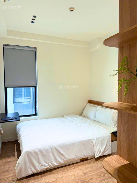 Fully Furnished Apartment in Phu My Hung Urban Area