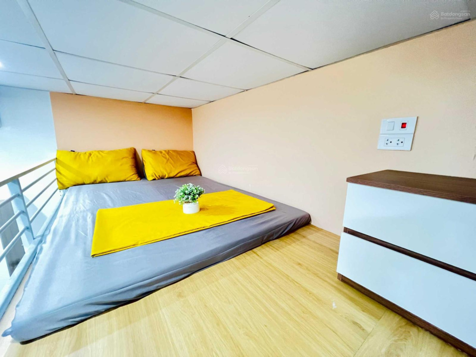 Modern Studio Near Universities with Loft Bed