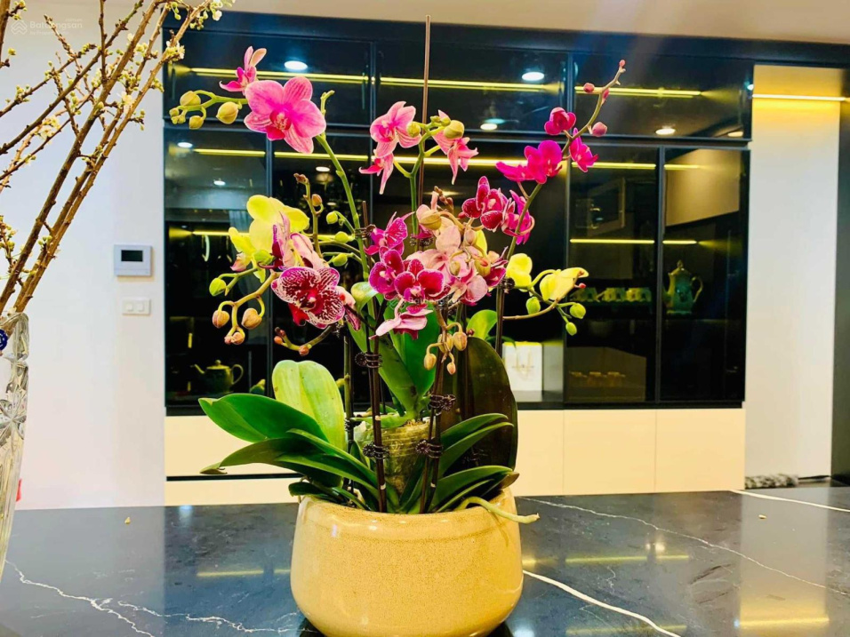 Modern 2-bedroom apartment in Thái Hà