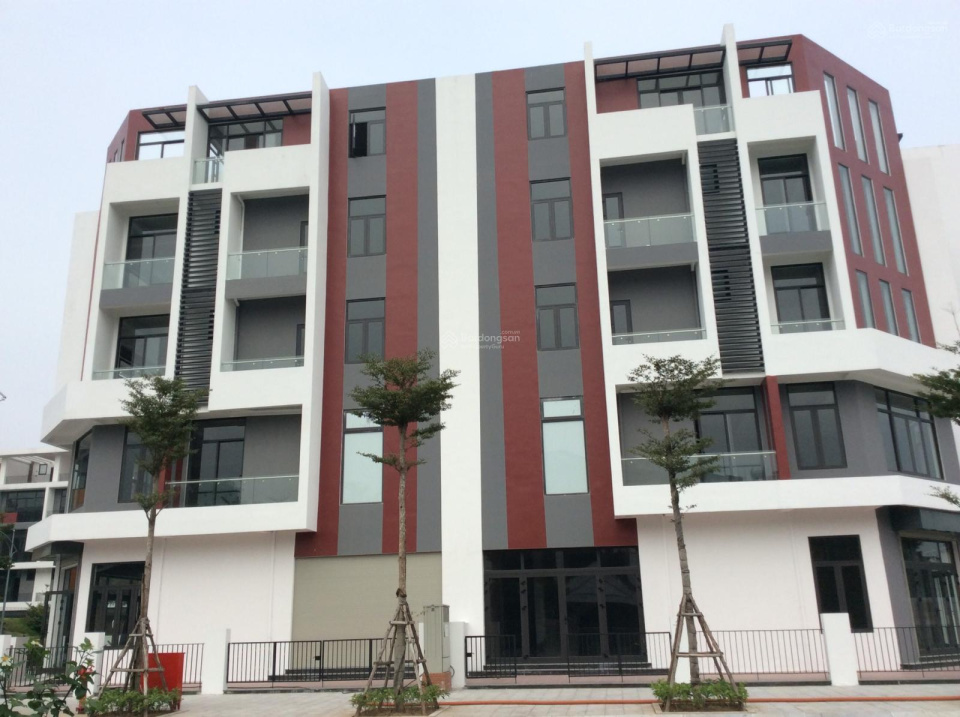 Modern Apartments for Rent