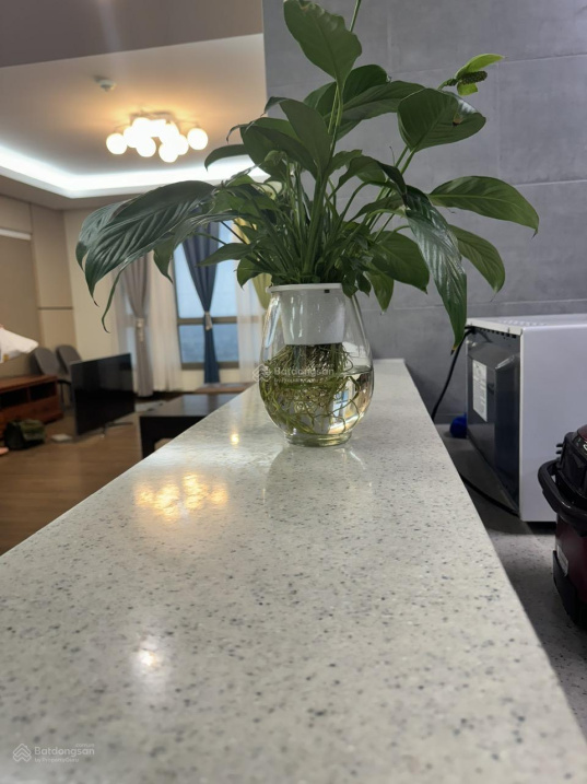Luxurious 4BR Hyundai Hillstate Apartment with Views