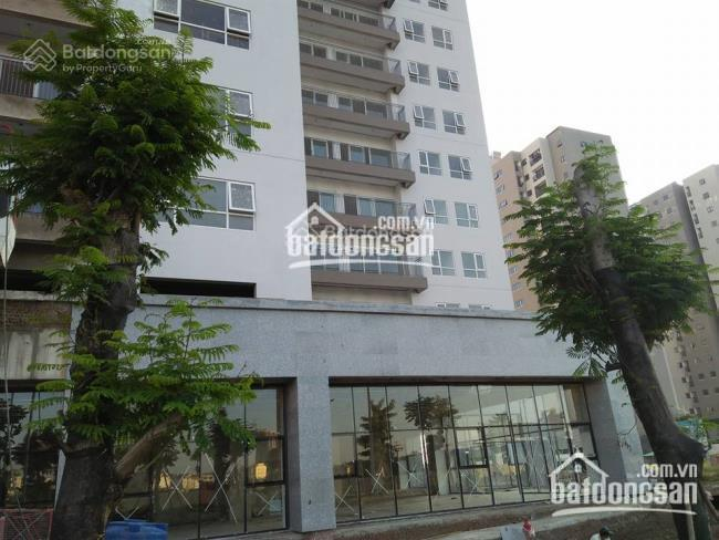 Spacious 3-bedroom apartment in CT2 Xuân Phương Quốc Hội complex