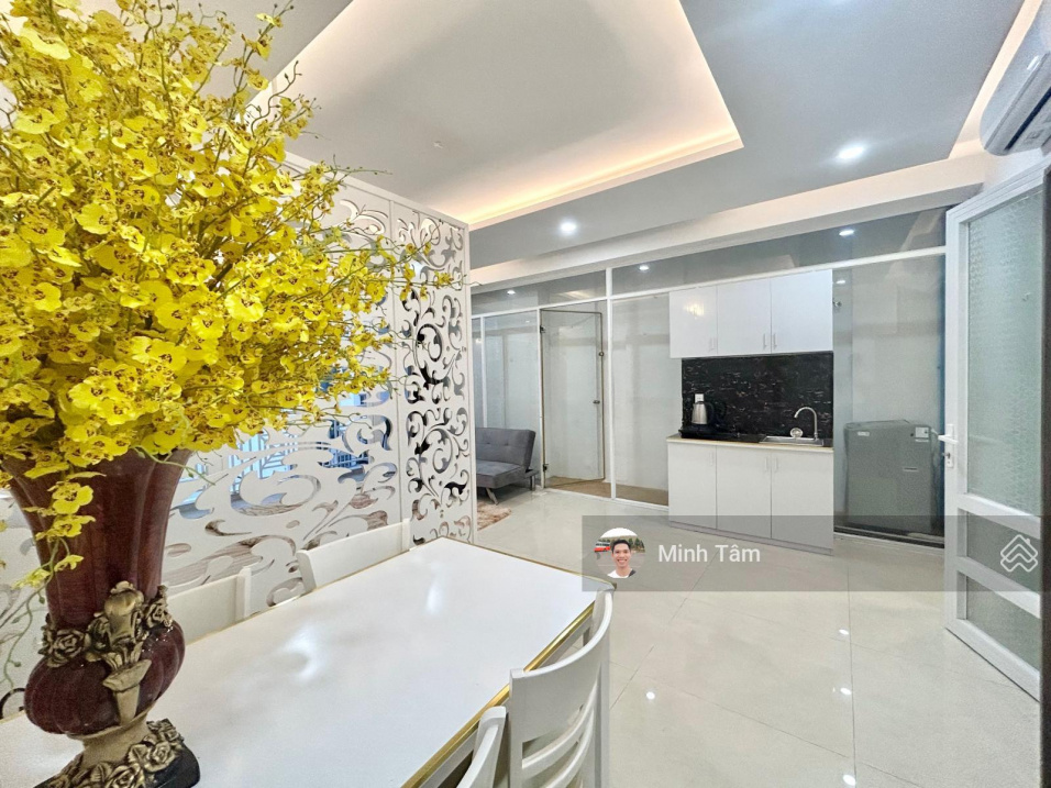 Luxury Apartment Near Binh Thanh Center, Fully Furnished
