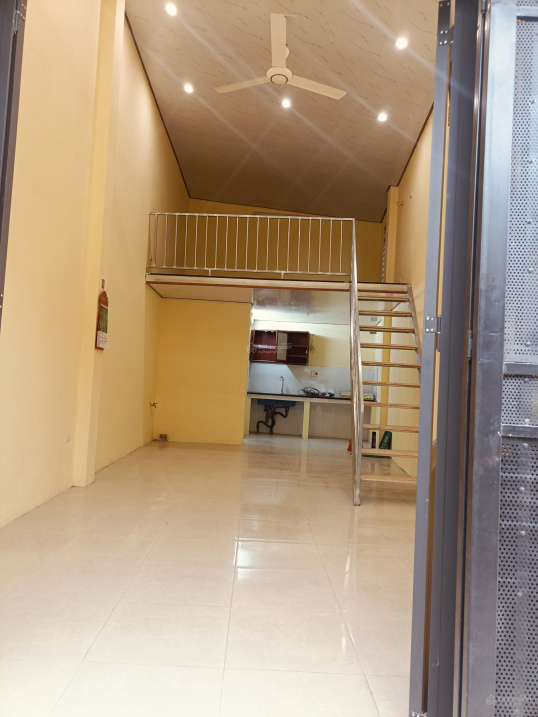 Modern Loft-Style Apartment with Mezzanine near Vinsmart City