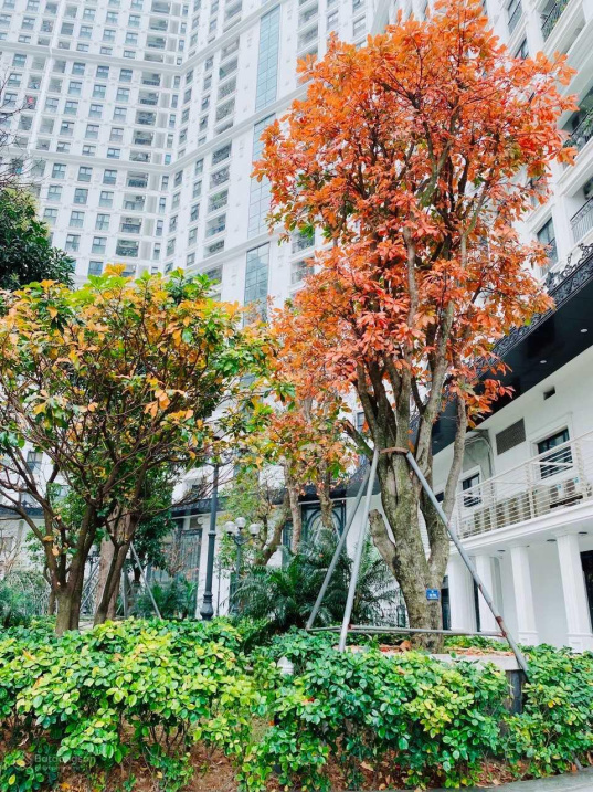 Luxury Apartment with Scenic Garden and Fountains