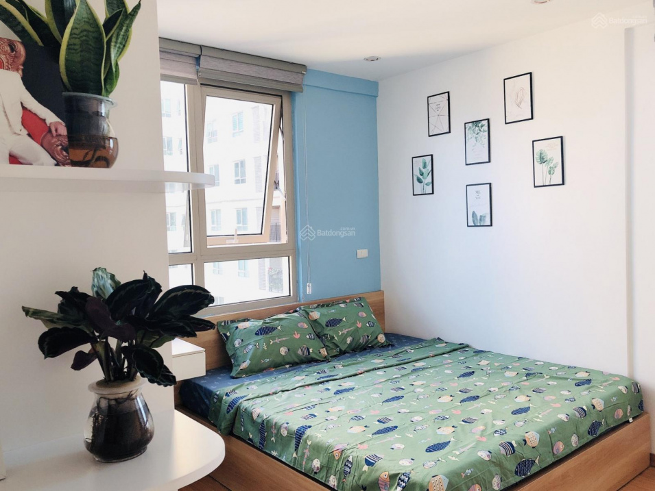 Modern 60m² Two-Bedroom Apartment with Basic Furnishings