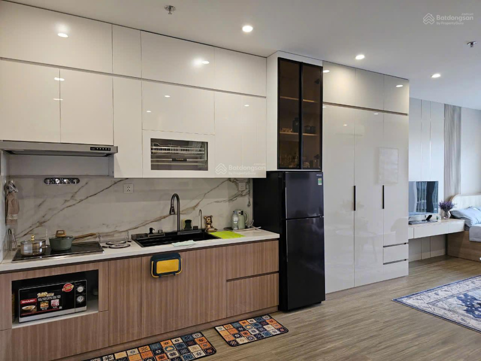 Modern Studio Apartment in Vinhomes Ocean Park