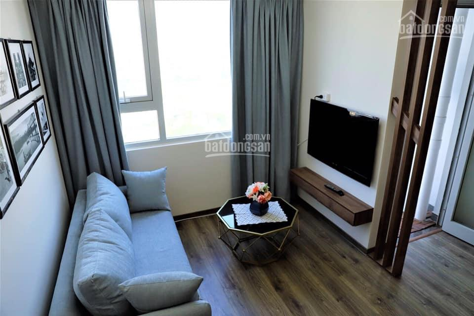 Modern Studio and 2BR Apartments at Ecolife Capitol