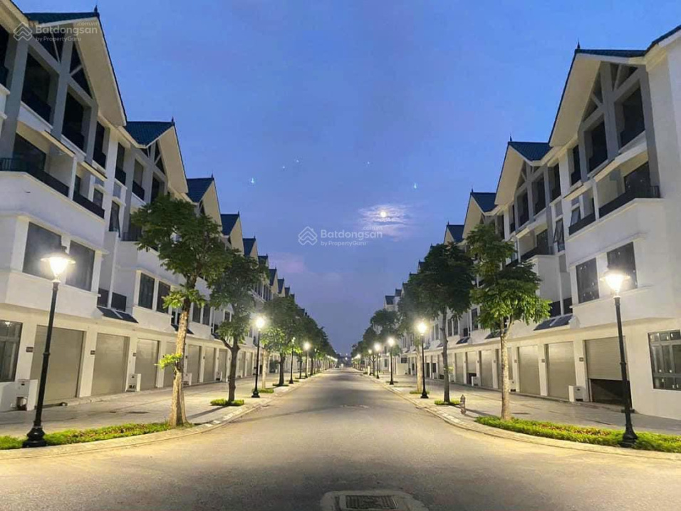 Modern Townhouses in Hinode Royal Park