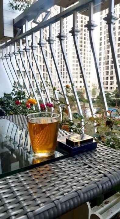 Luxurious Fully Furnished Royal City Apartment