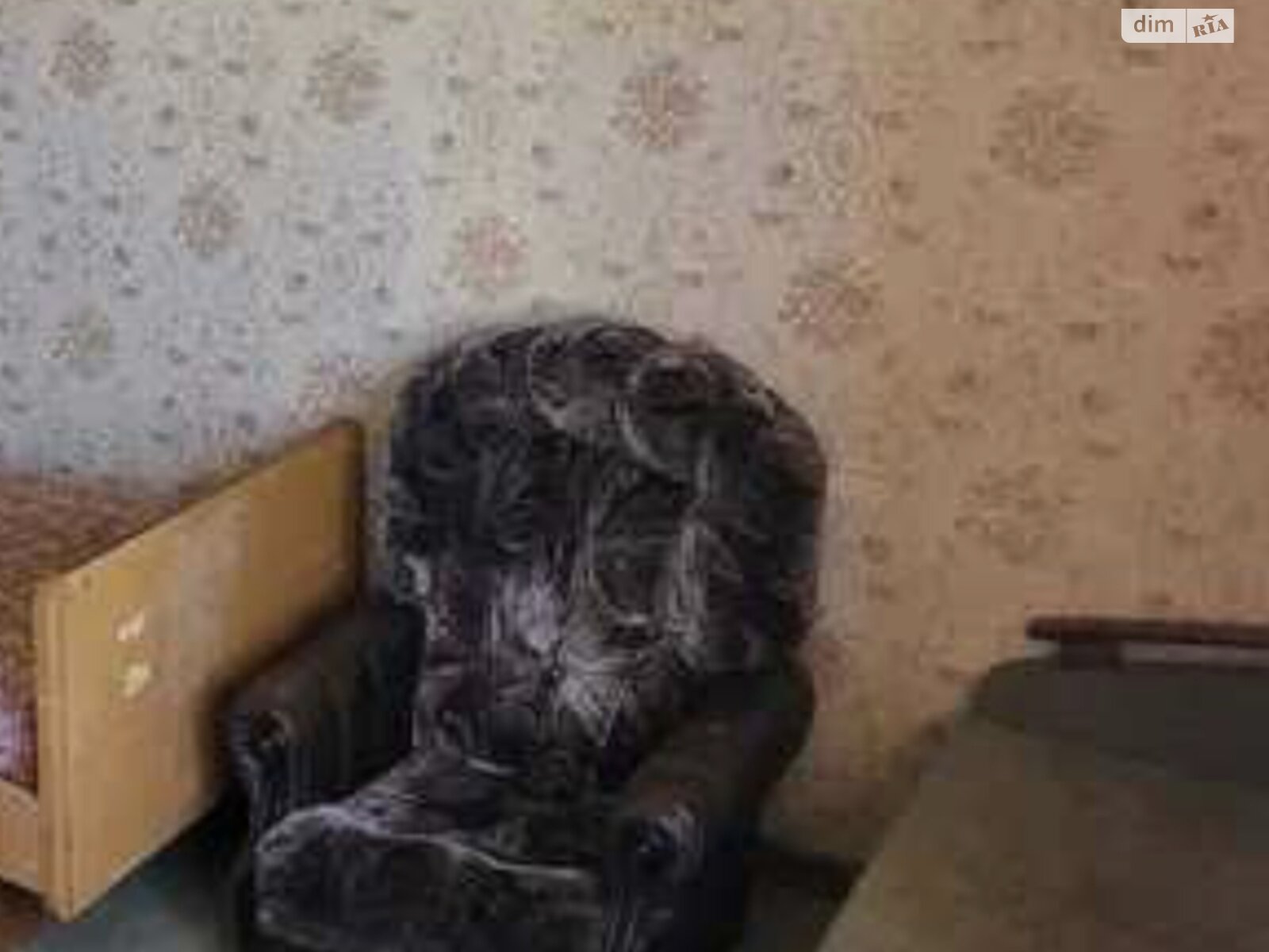 2-Room Apartment near Karavan, Pet-Friendly
