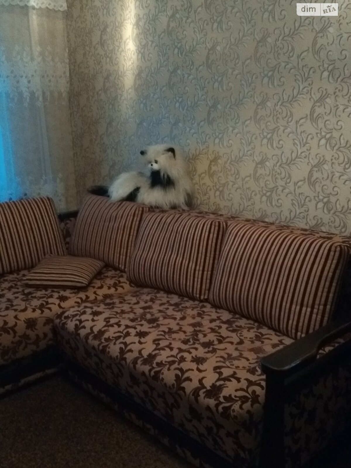 Cozy apartment with convenient location near amenities