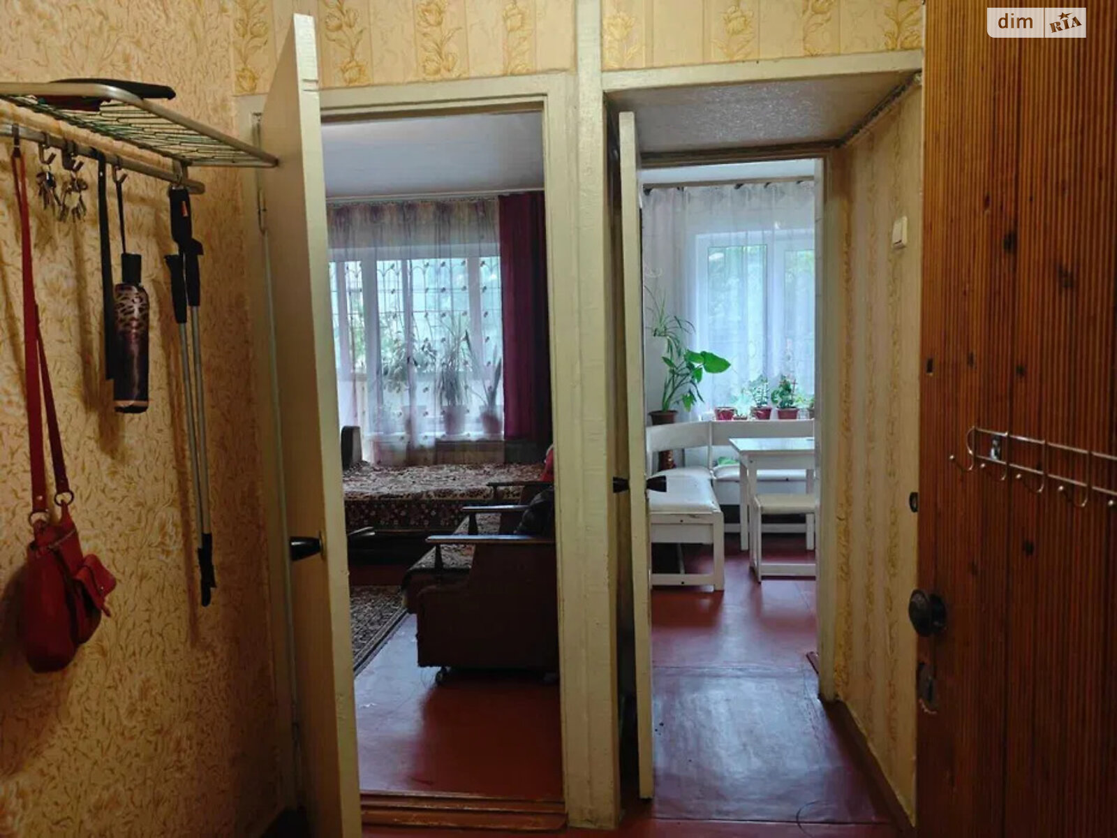 Cozy Studio Apartment near Park and Market