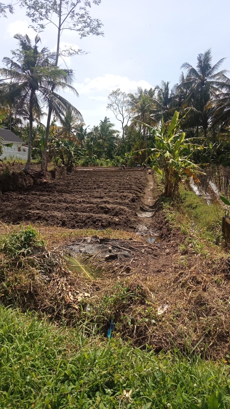 Large 2331m² Land Near ECO Park for Long-term