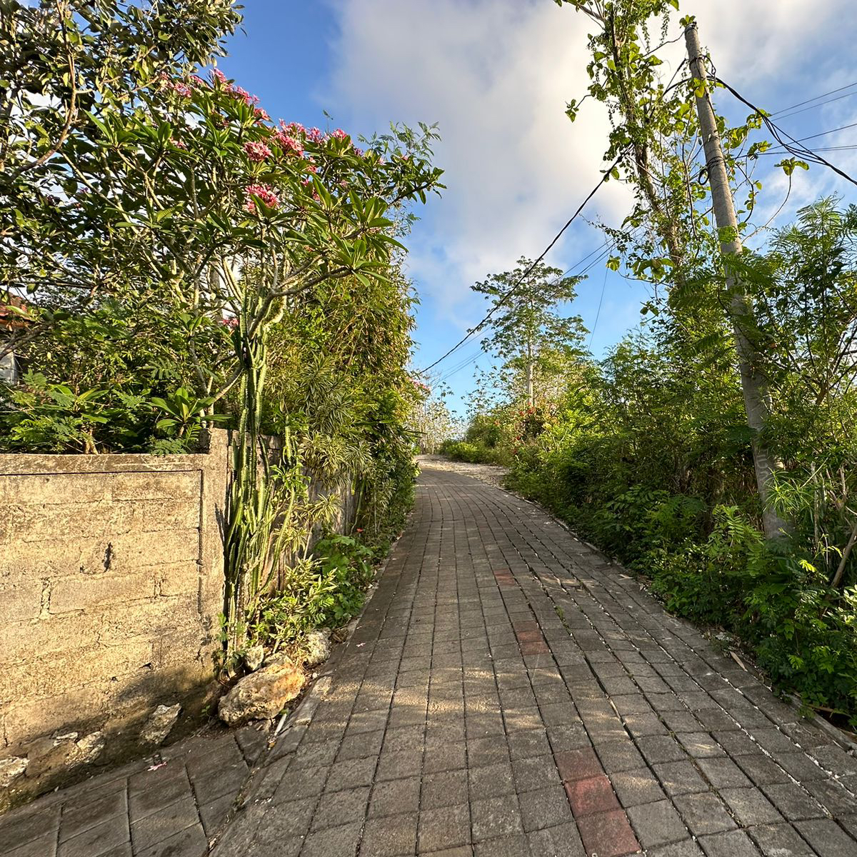 Leasehold land for rent in Uluwatu Pecatu, near Six Senses