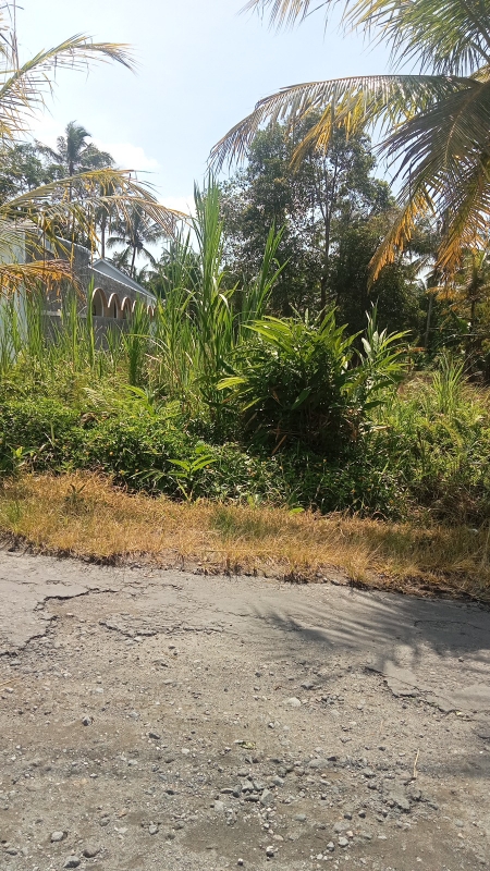 Large 2331m² Land Near ECO Park for Long-term