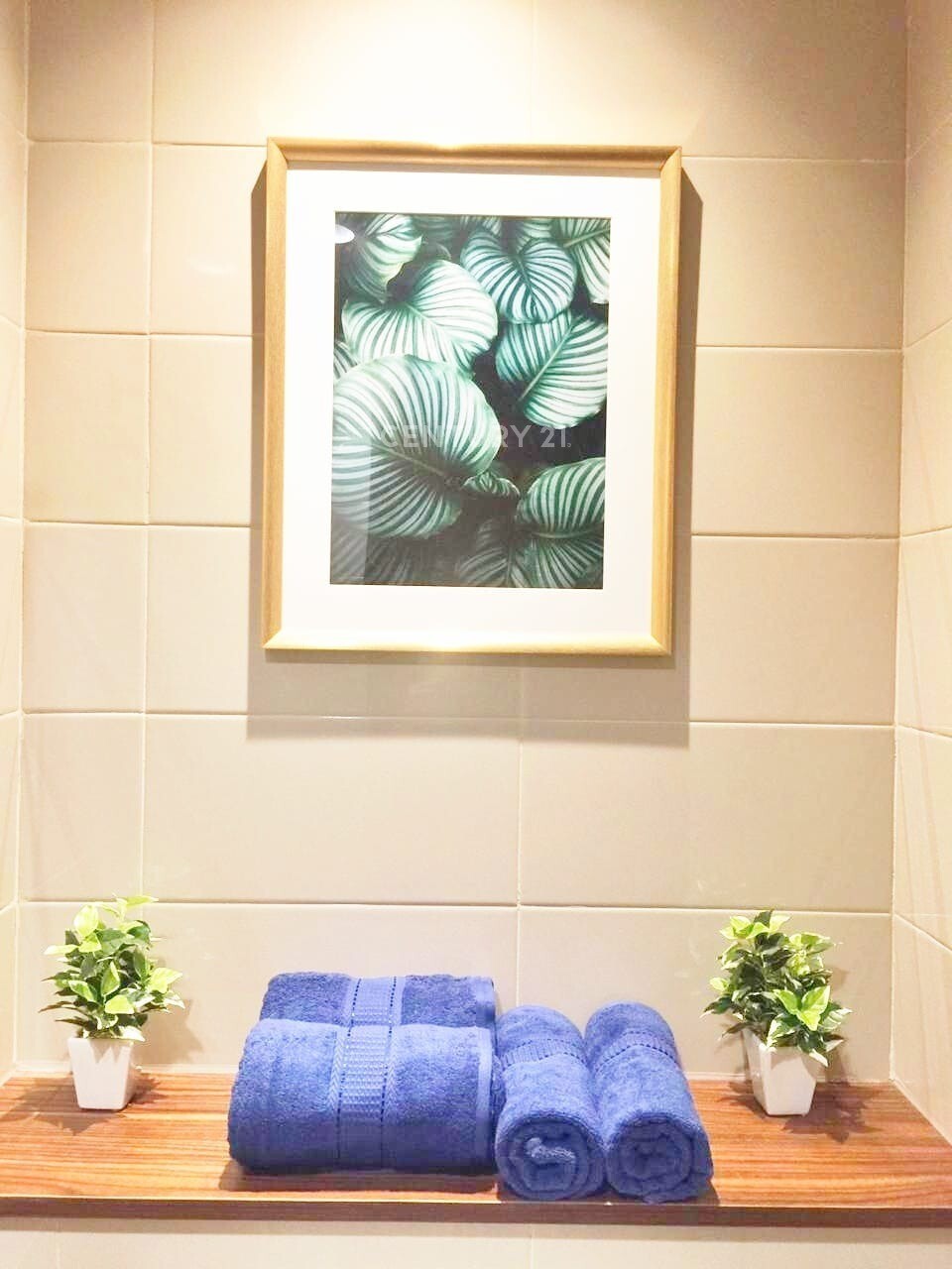 Студия в Springhill Terrace Sandalwood Tower