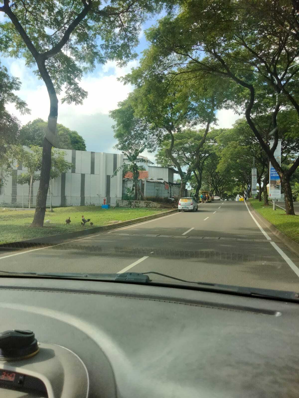 Commercial Corner Plot in Elite BSD Area