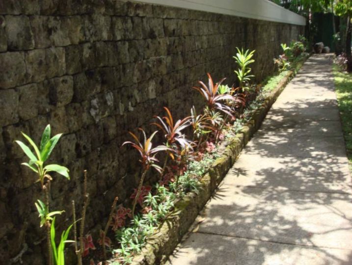 Spacious 5-Bedroom House in Dasma Village, Makati City
