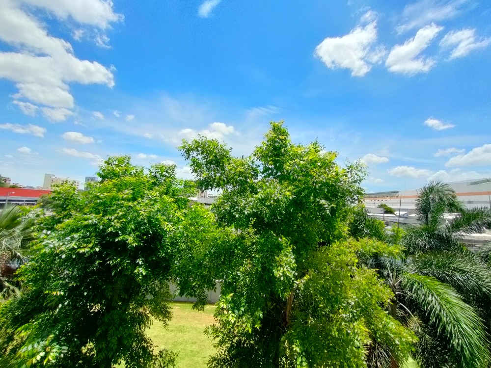 Living Nest Ramkhamhaeng-тегі 1 бөлмелі пәтер, 31 шаршы метр, толық жабдықталған