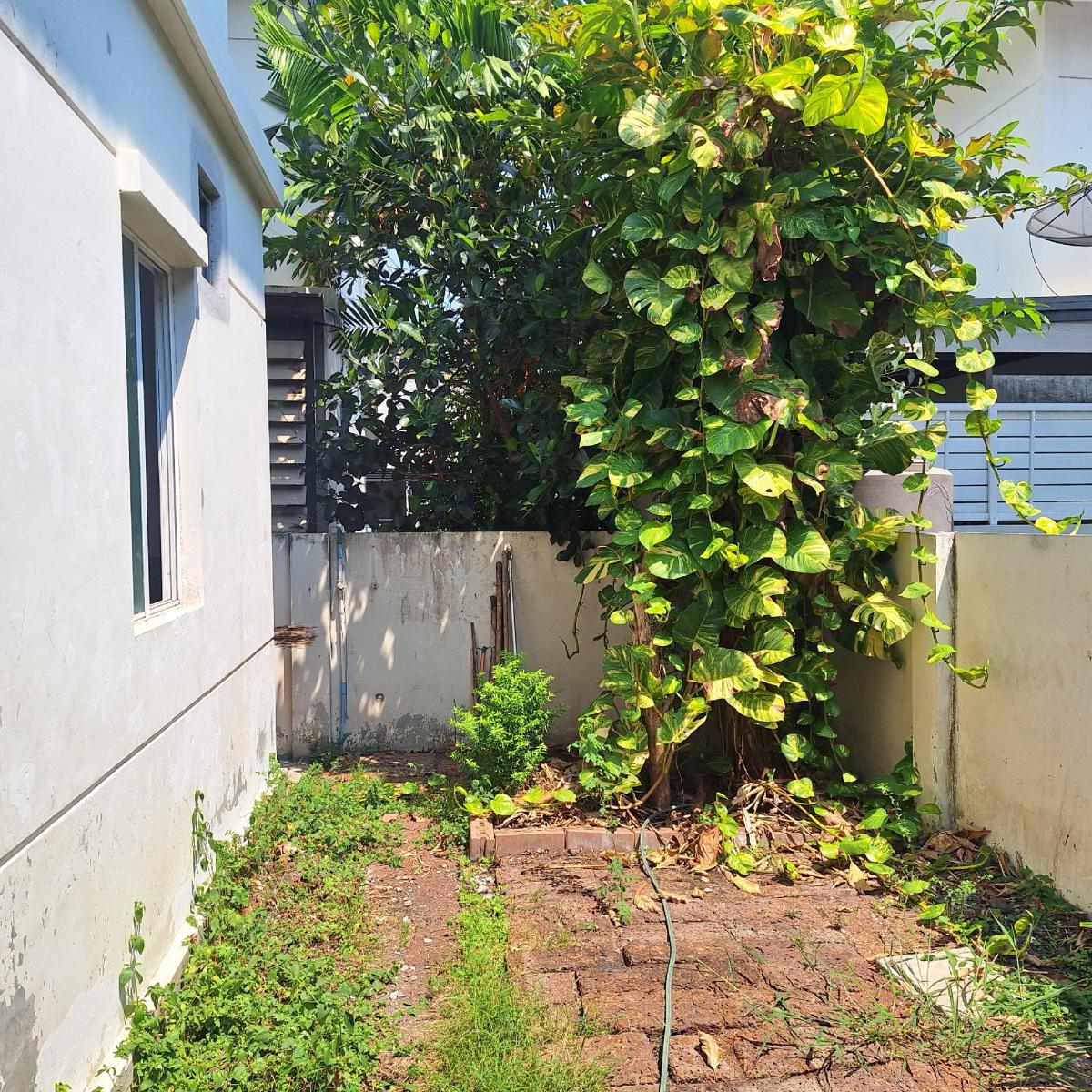 Single house in Pruksa Village 53, spacious with garden