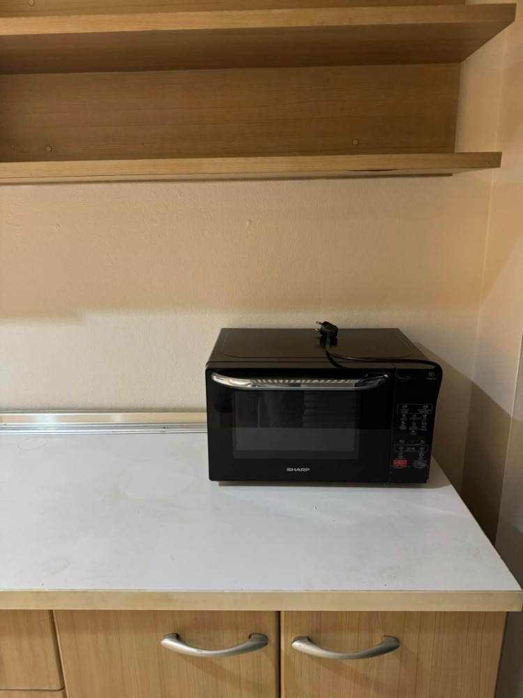 Fully Furnished 1 Bedroom Apartment near Platinum