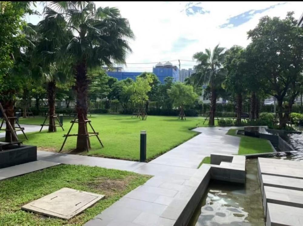 Studio Apartment near BTS, Phetkasem Area