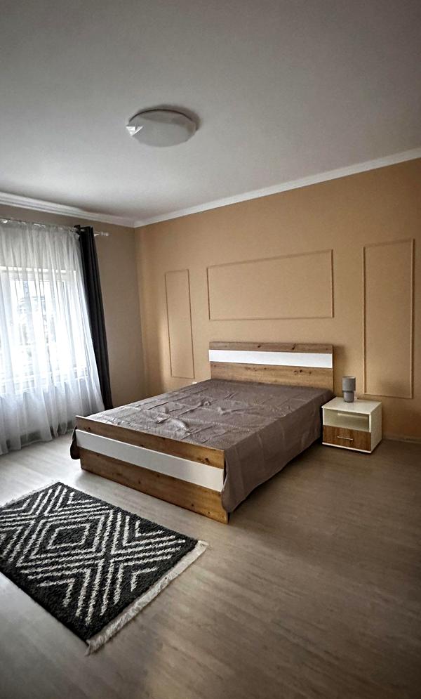 2-room apartment in Uzhhorod with designer interior and modern amenities