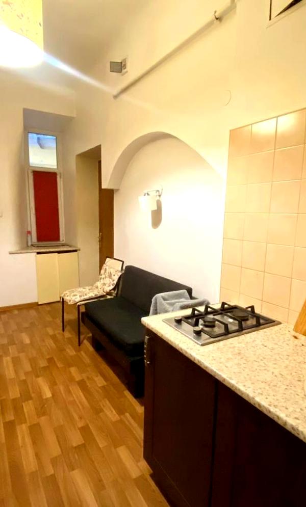 Cozy 1-bedroom apartment in city center near Danylo Halytskyi Square