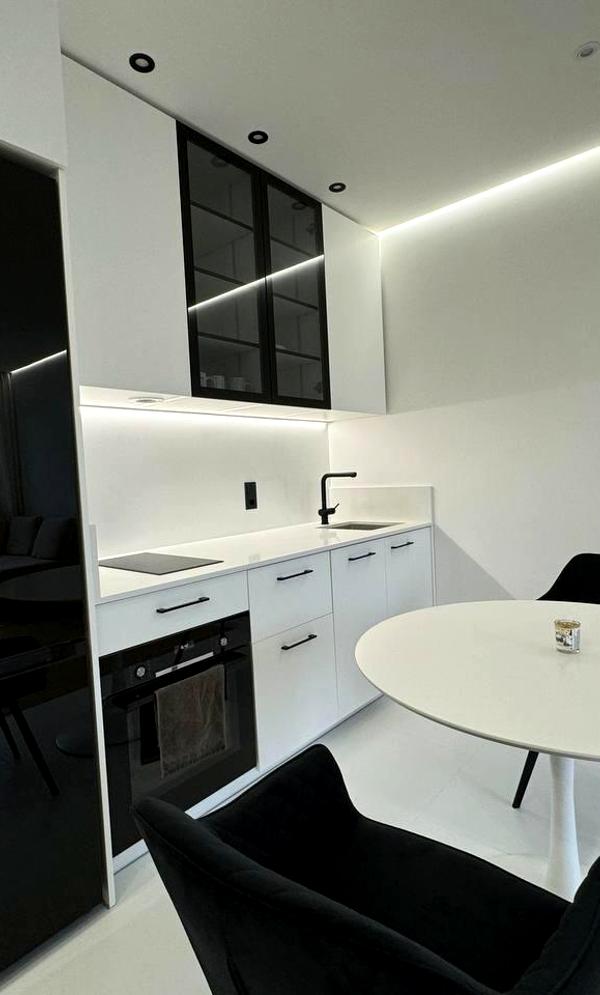 Modern Minimalist Apartment with Designer Interior