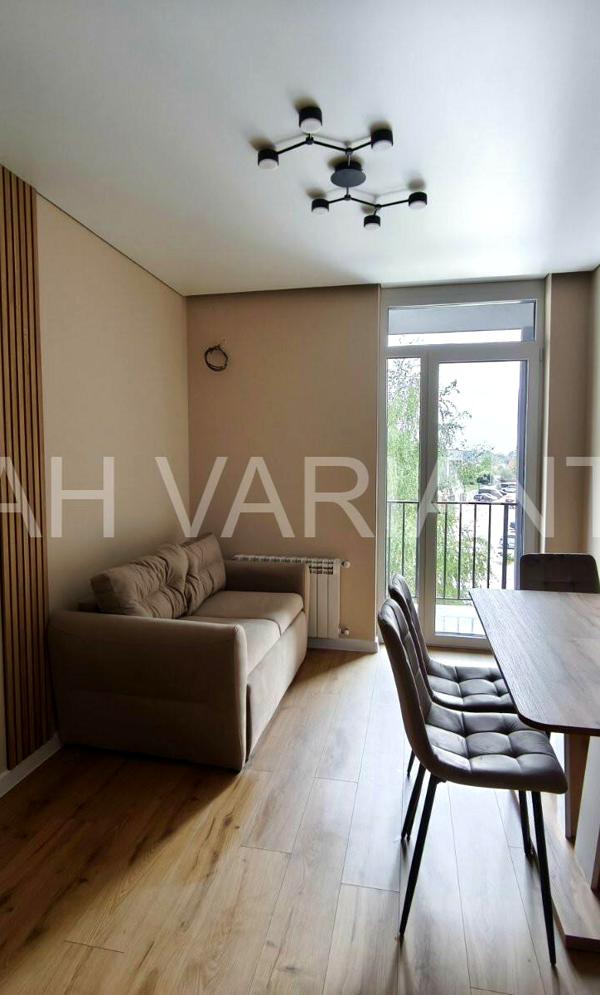 Stylish 1-Bedroom Apartment in Uzhhorod with Modern Renovation