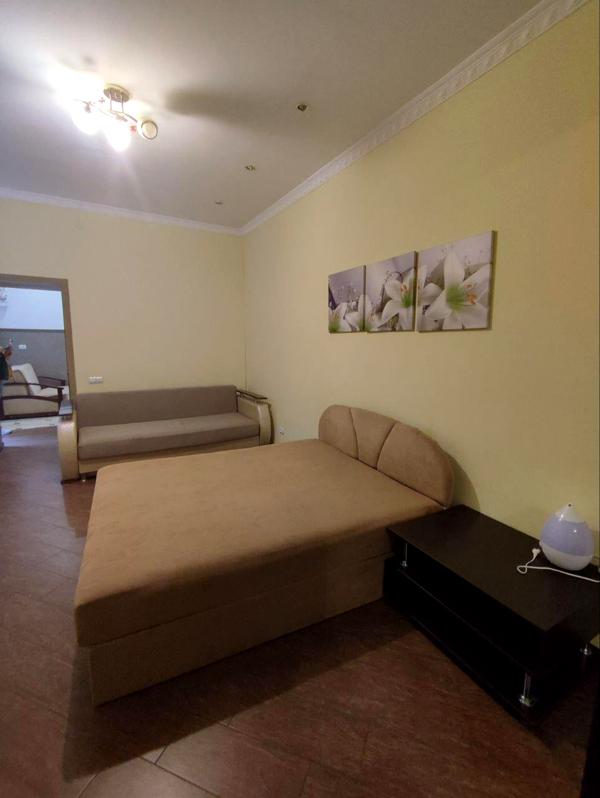 Cozy 1-bedroom apartment in central Lviv with private entrance