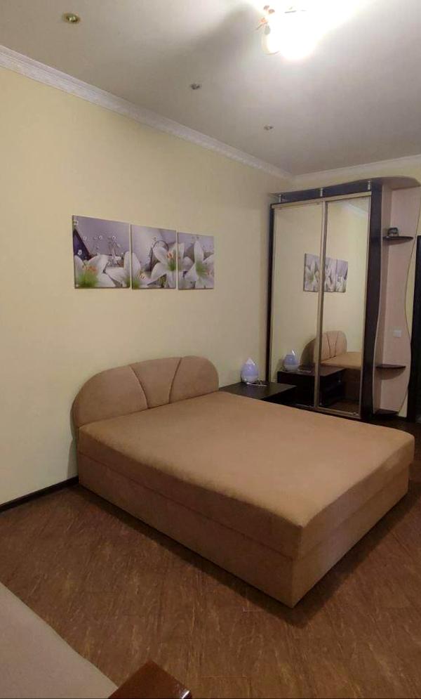 Cozy 1-bedroom apartment in central Lviv with private entrance