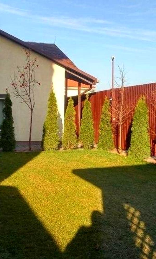 Spacious Two-Bedroom Apartment with Backyard and BBQ Area