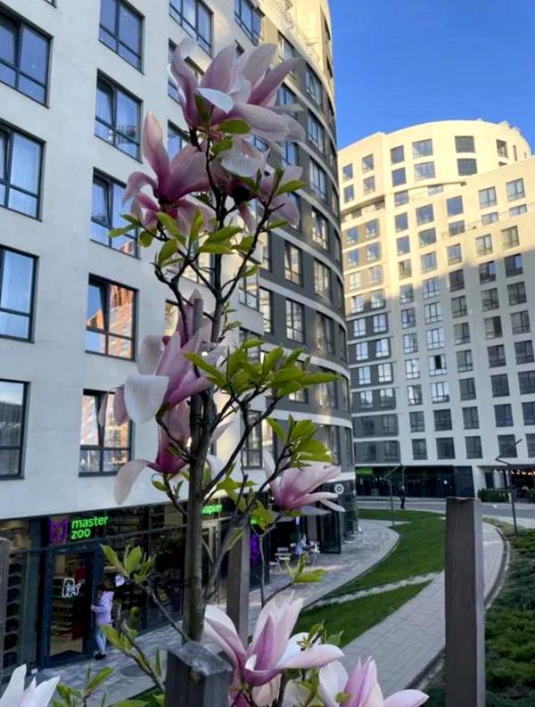 1-Room Studio Apartment with Modern Design in Residential Complex