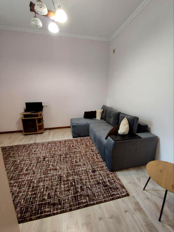 Comfortable 1-bedroom apartment near Lviv city center with modern amenities