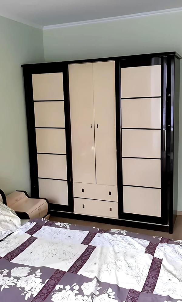 Furnished City Center Apartment with Euro Renovation